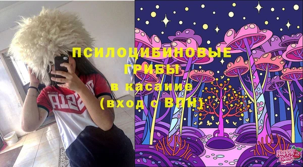 амф Абинск
